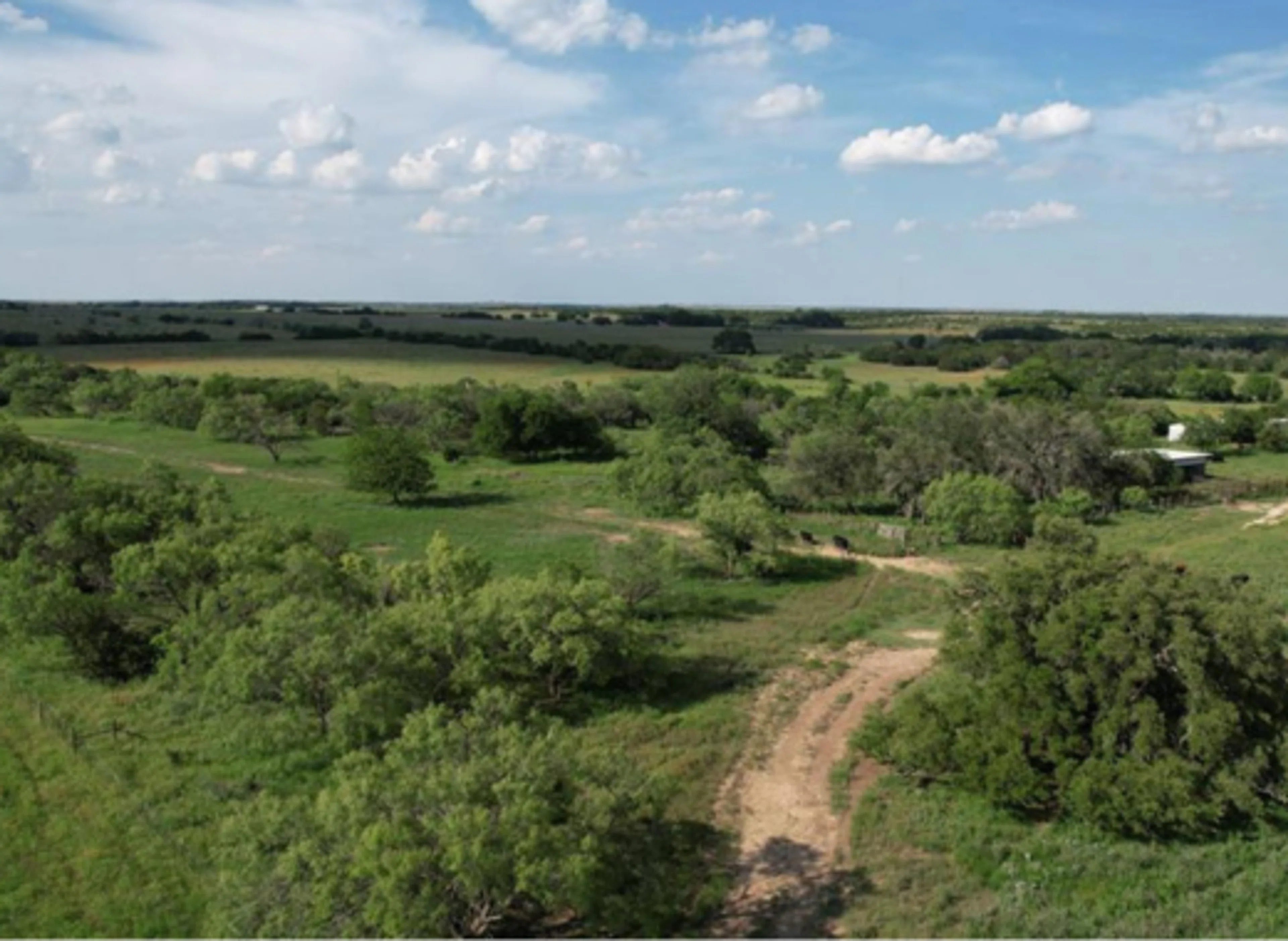 151 Acres County Road 200 Burnet TX: Ranchette Development Land for Sale | No Restrictions - Blog image