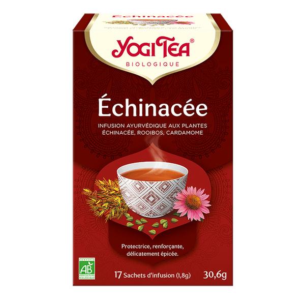 Échinacée