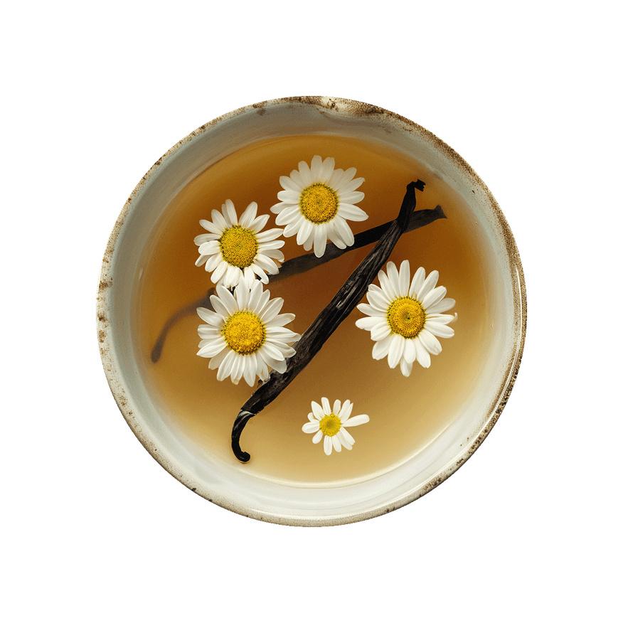Bonne Nuit Rooibos Vanille