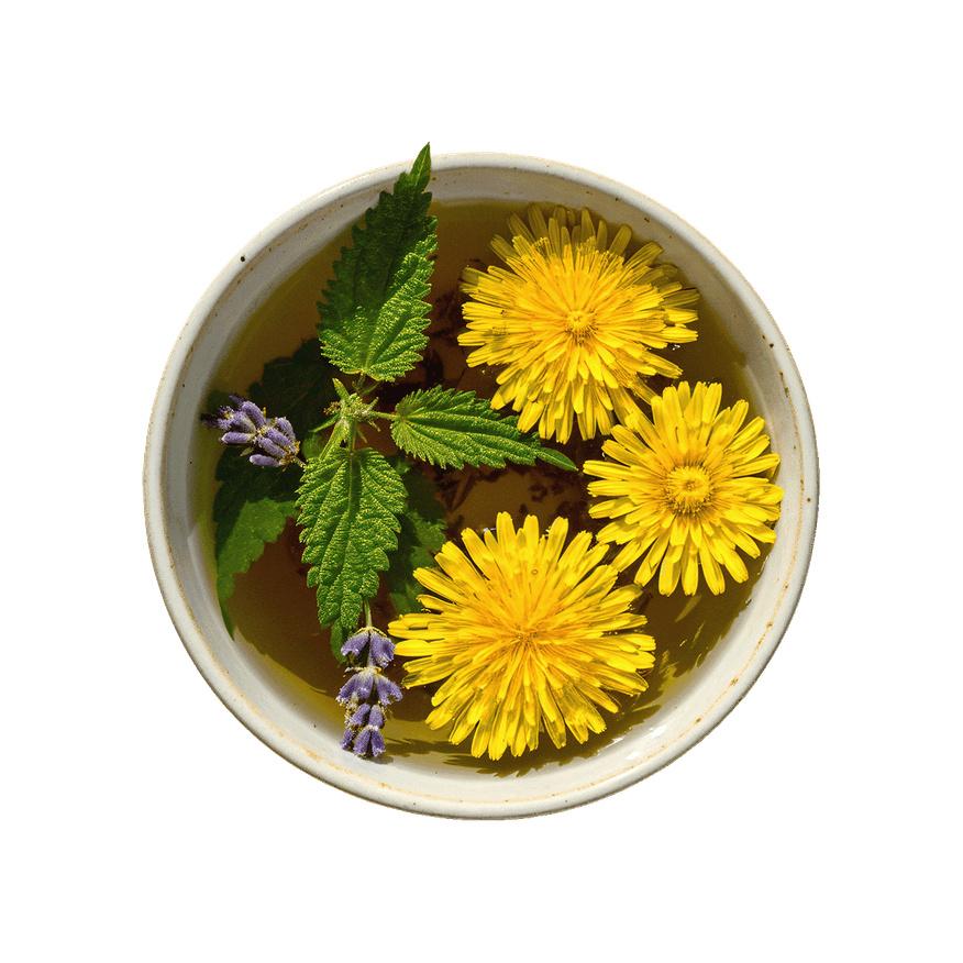 Alkaline Herbs
