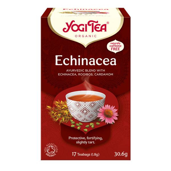 Echinacea