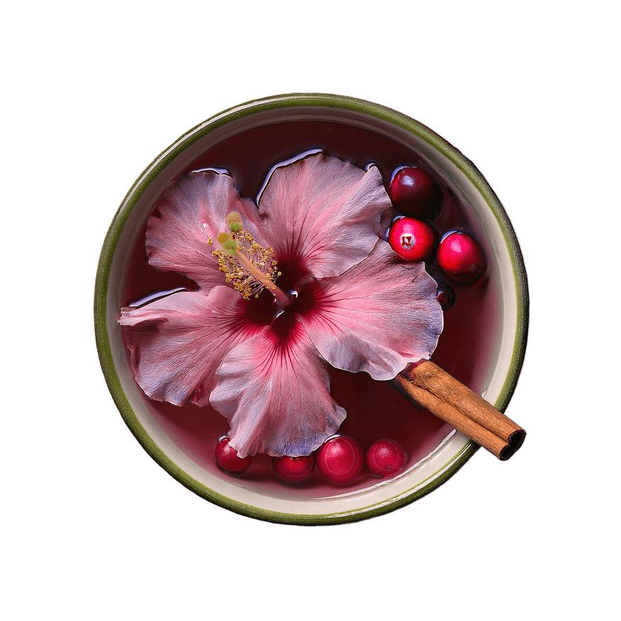 Cranberry Spice Positive Energy