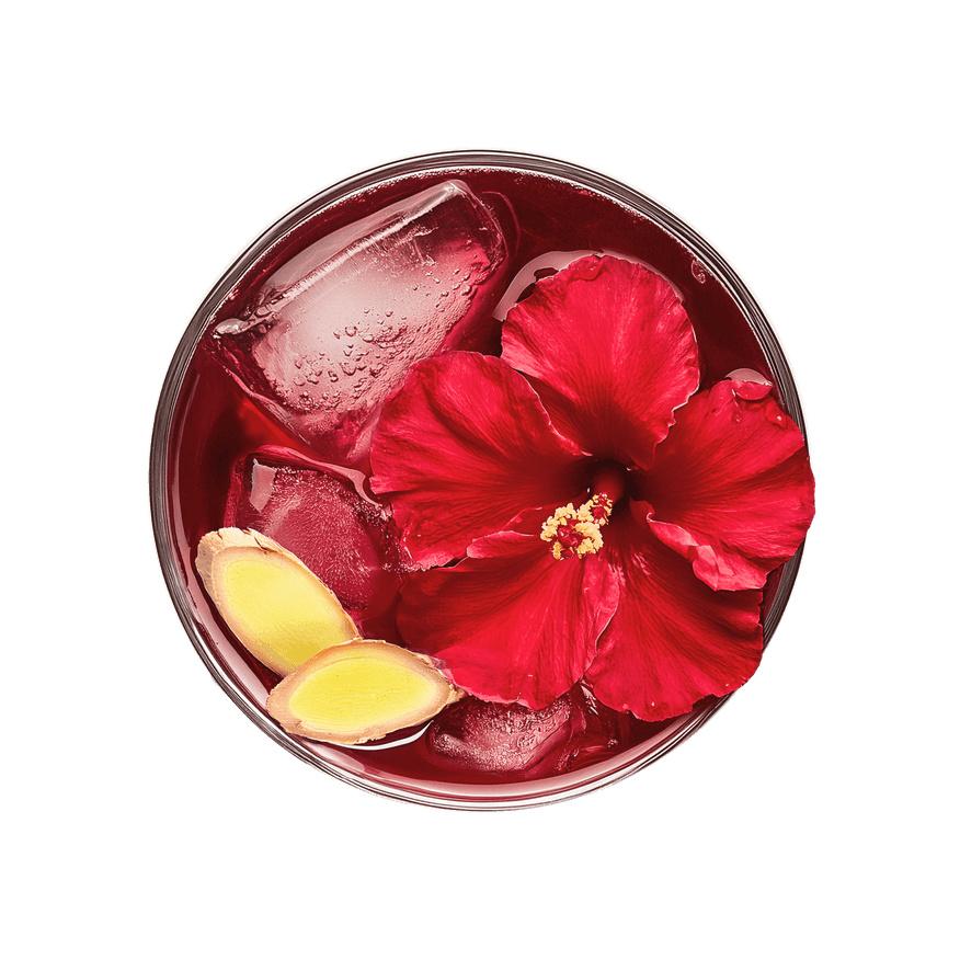 Organic Hibiscus Ginger