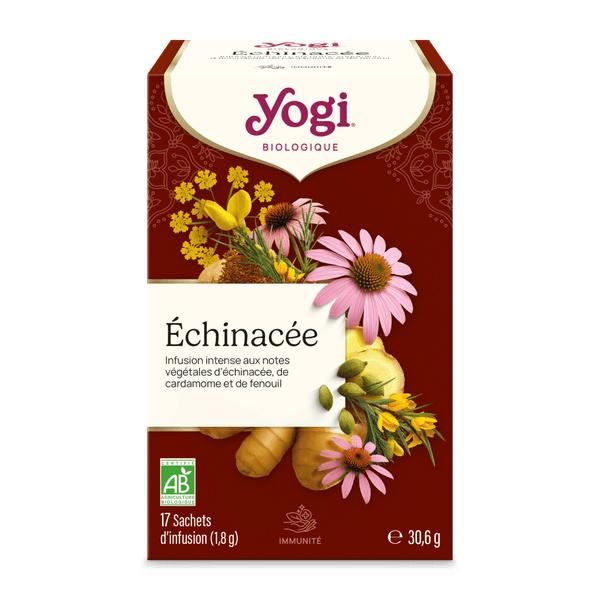 Échinacée
