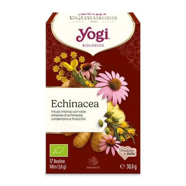 Echinacea