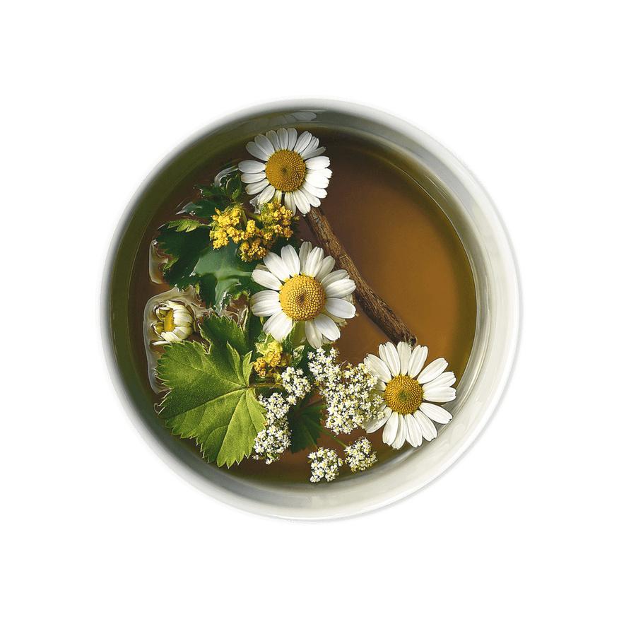 Comfort Menopausa