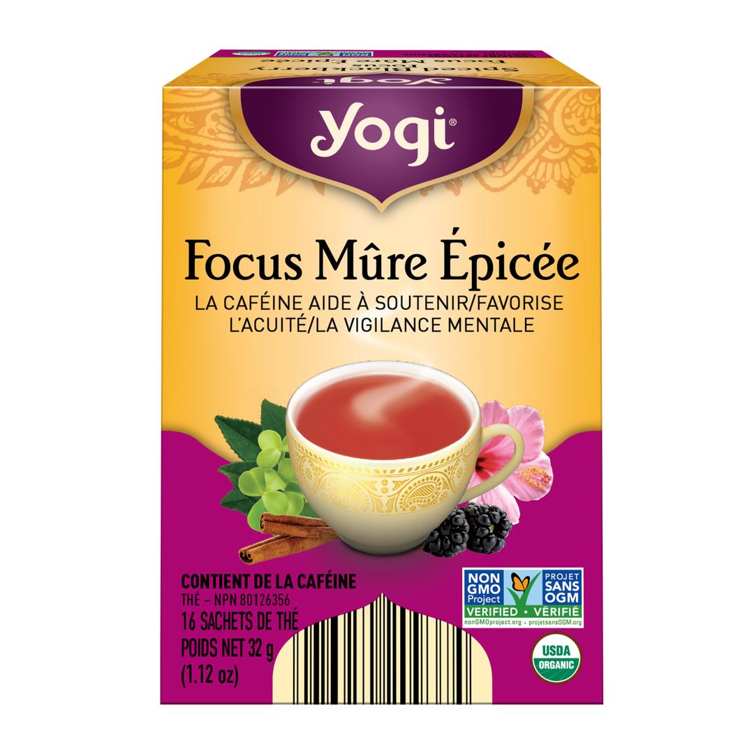  Focus Mûre Épicée
