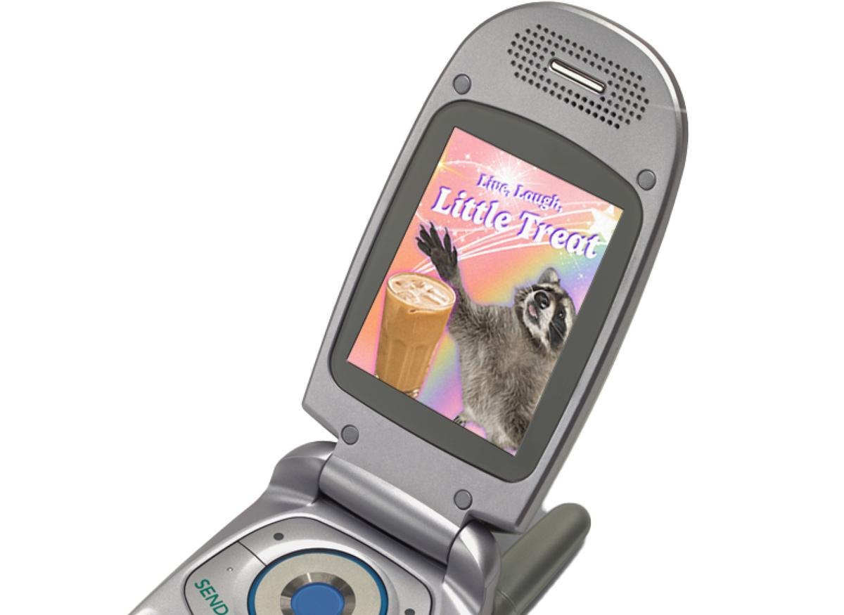 Flip phone