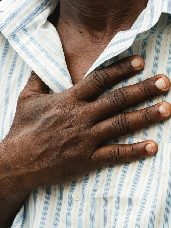 home page leaf asset