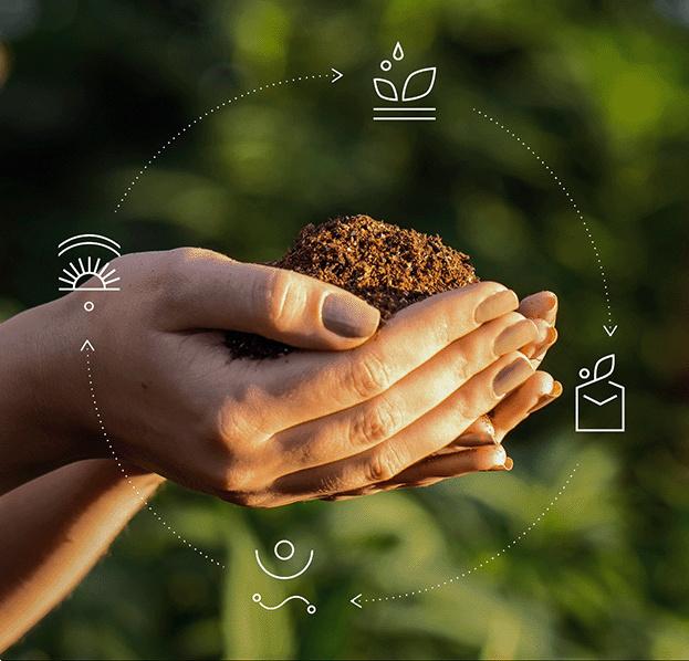 Hand holding earth