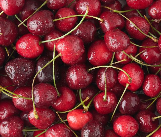 home page leaf asset