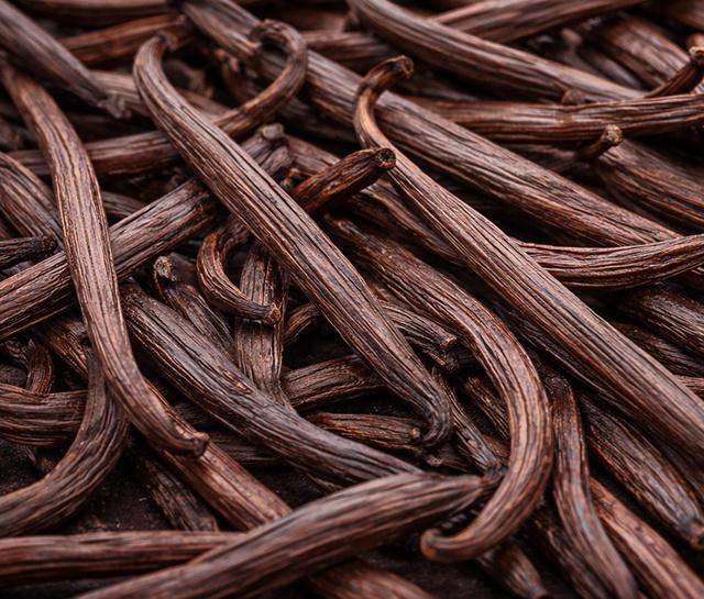 home page leaf asset