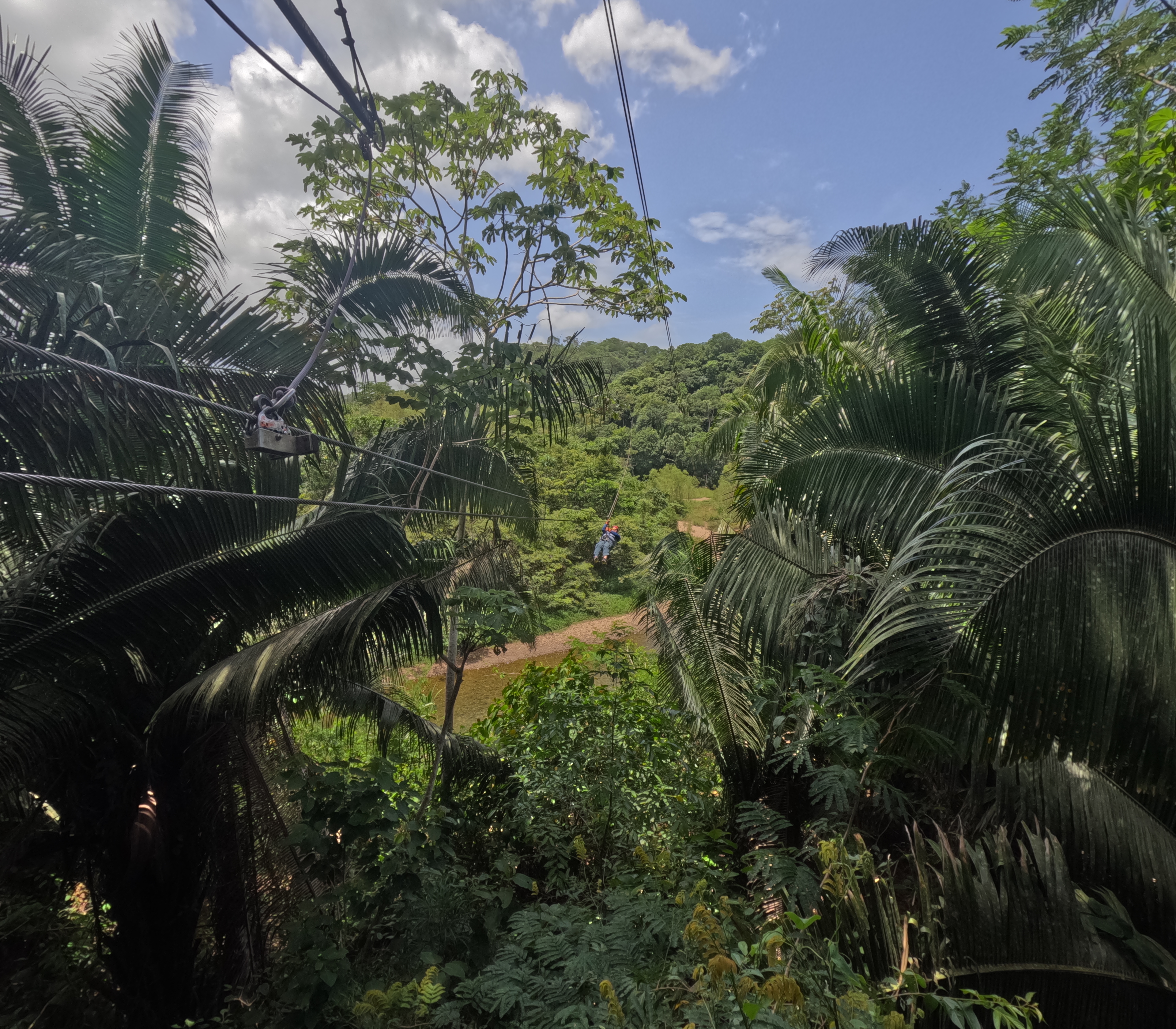 Jungle Zipline at Caves Branch Outpost