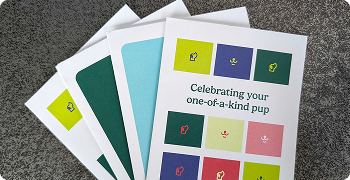 Array of completed cards displaying a grid of colorful shield icons with text "Celebrating your one-of-a-kind pup"Retry