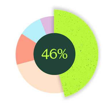 PetDNA pie chart 46% best match Labrador Retriever