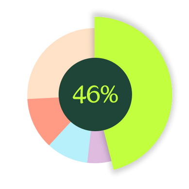 PetDNA pie chart 46% best match Labrador Retriever