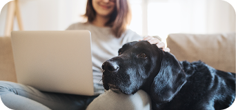 Woman using laptop on the couch with her large black dog's head resting on her leg