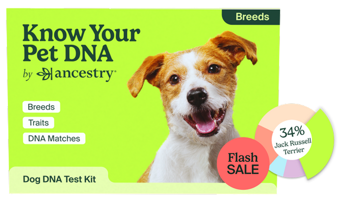 PetDNA Breeds Box Flash Sale