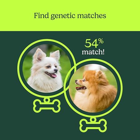 Breeds & Health Kit - 6
