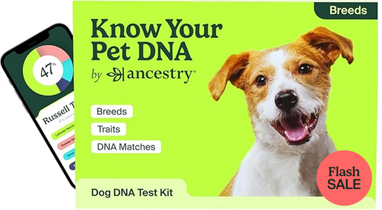 PetDNA Breeds Flash Sale Box