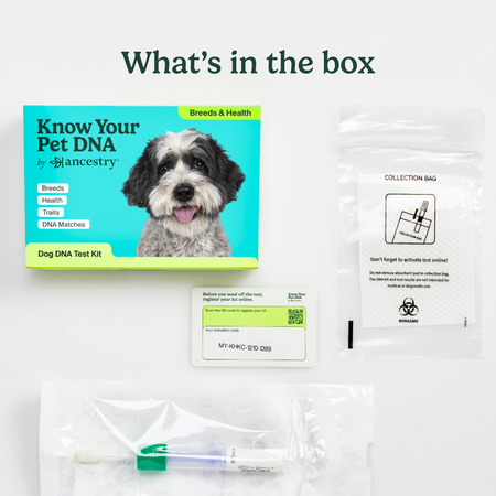 Contents of the DNA test kit showing the box, collection bag, activation card with QR code, and swab collection tube.
