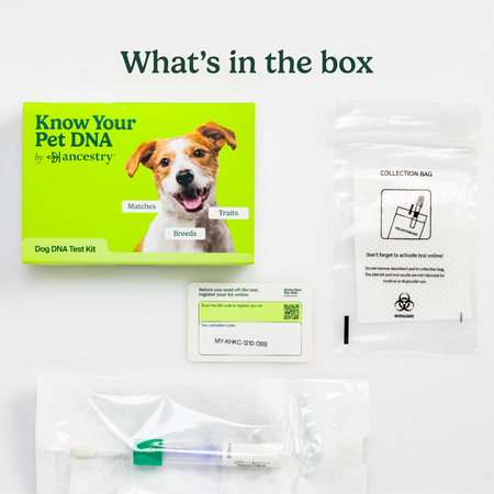 Contents of the DNA test kit showing the box, collection bag, activation card with QR code, and swab collection tube.