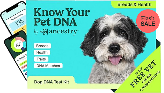 PetDNA Health Box Flash Sale Image
