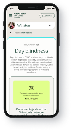 A phone screen displays an example of Pet DNA Health Report details