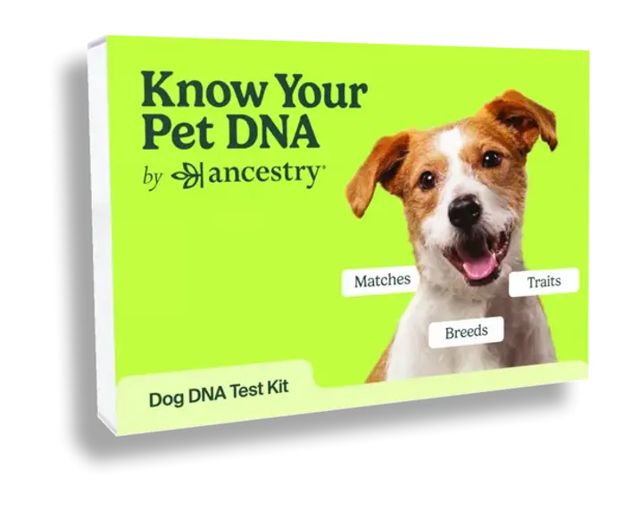 Know your pet DNA box cover