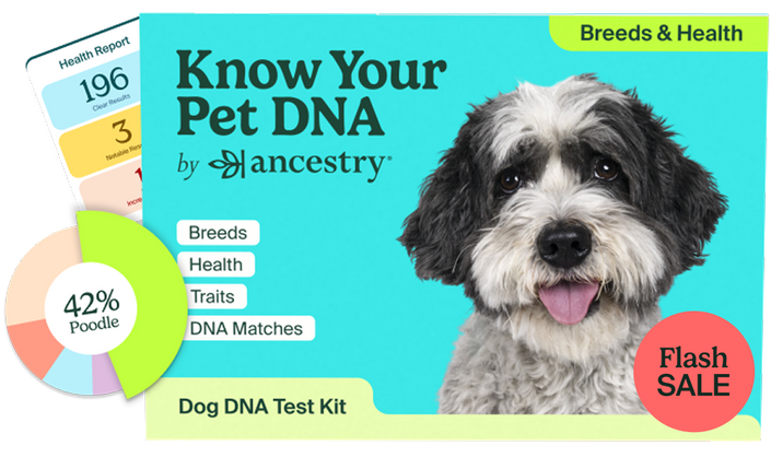 PetDNA US Health Box Flash Sale