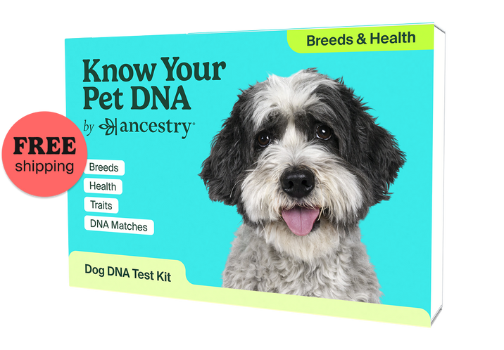Breed & Health Test kit