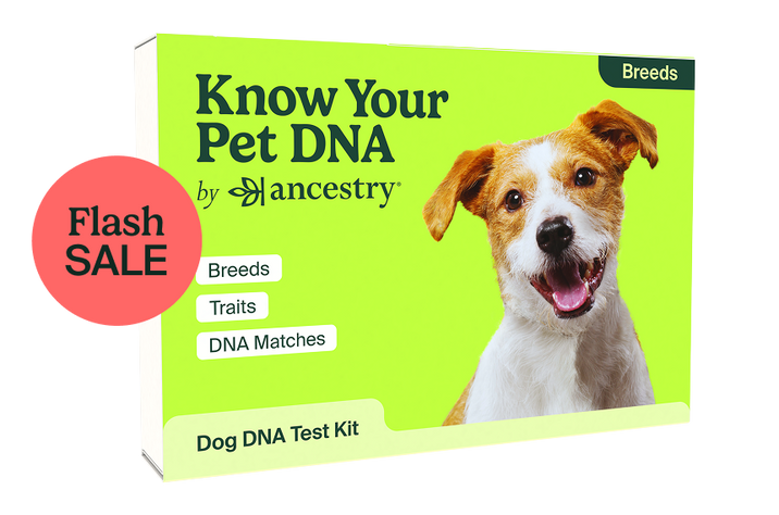 PetDNA Flash Sale Box Image