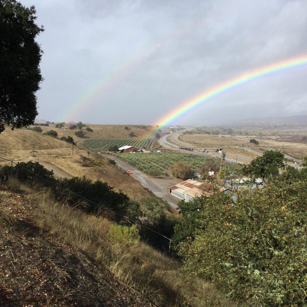 43 Ranch Olive Oil is an excellent Harvest Hosts location along California's Central Coast.
![wp-content-uploads-2021-02-43-ranch-olive-oil-1024x1024.jpg