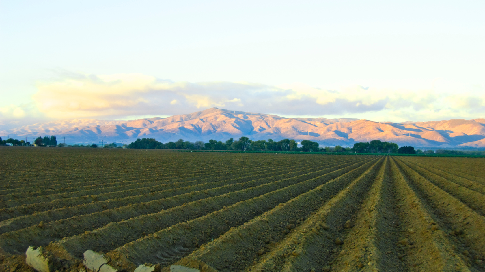 Salinas is a bustling little city about thirty minutes form the Central Coast of California.
![5.png