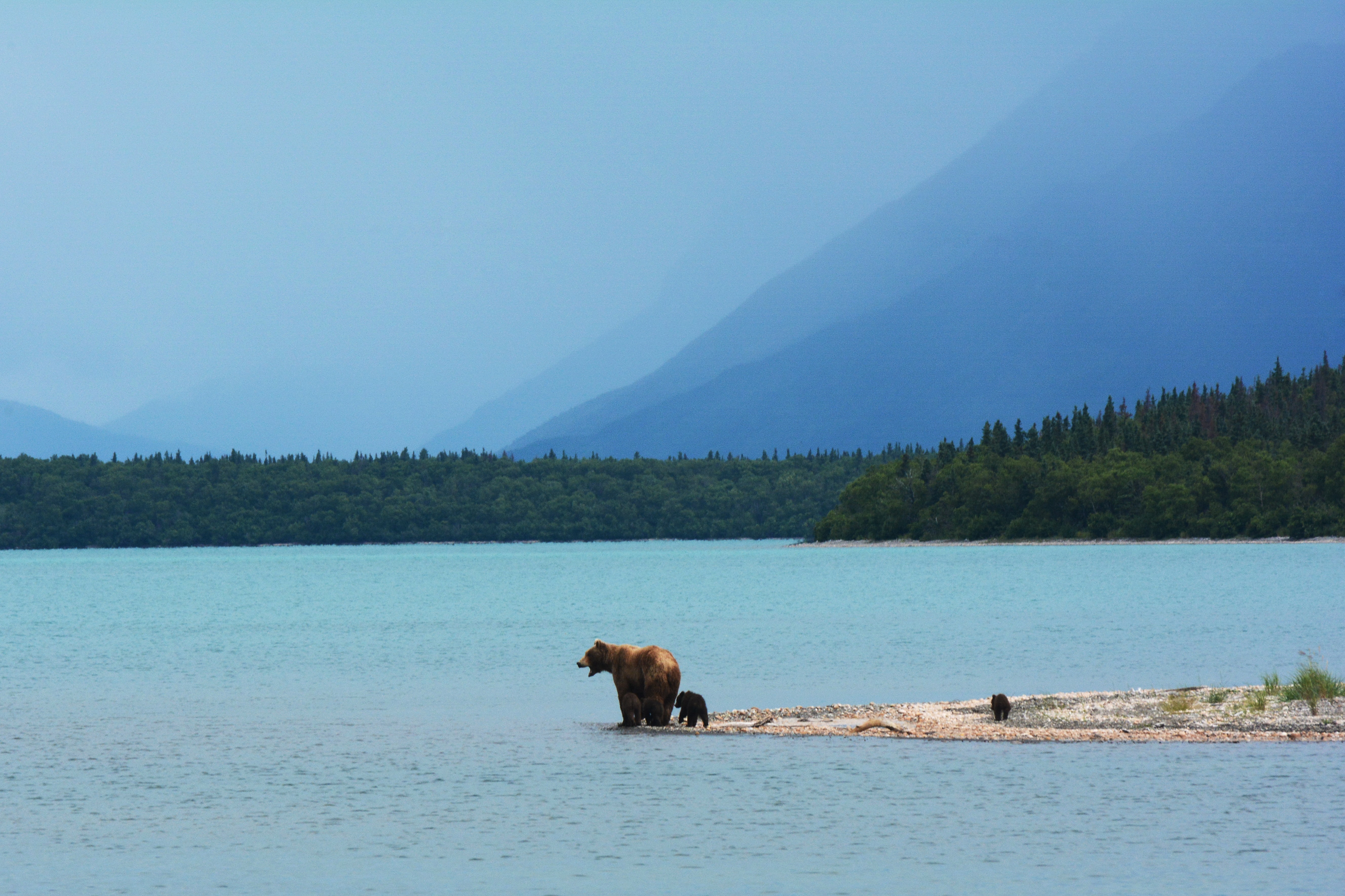 Katmai.jpg