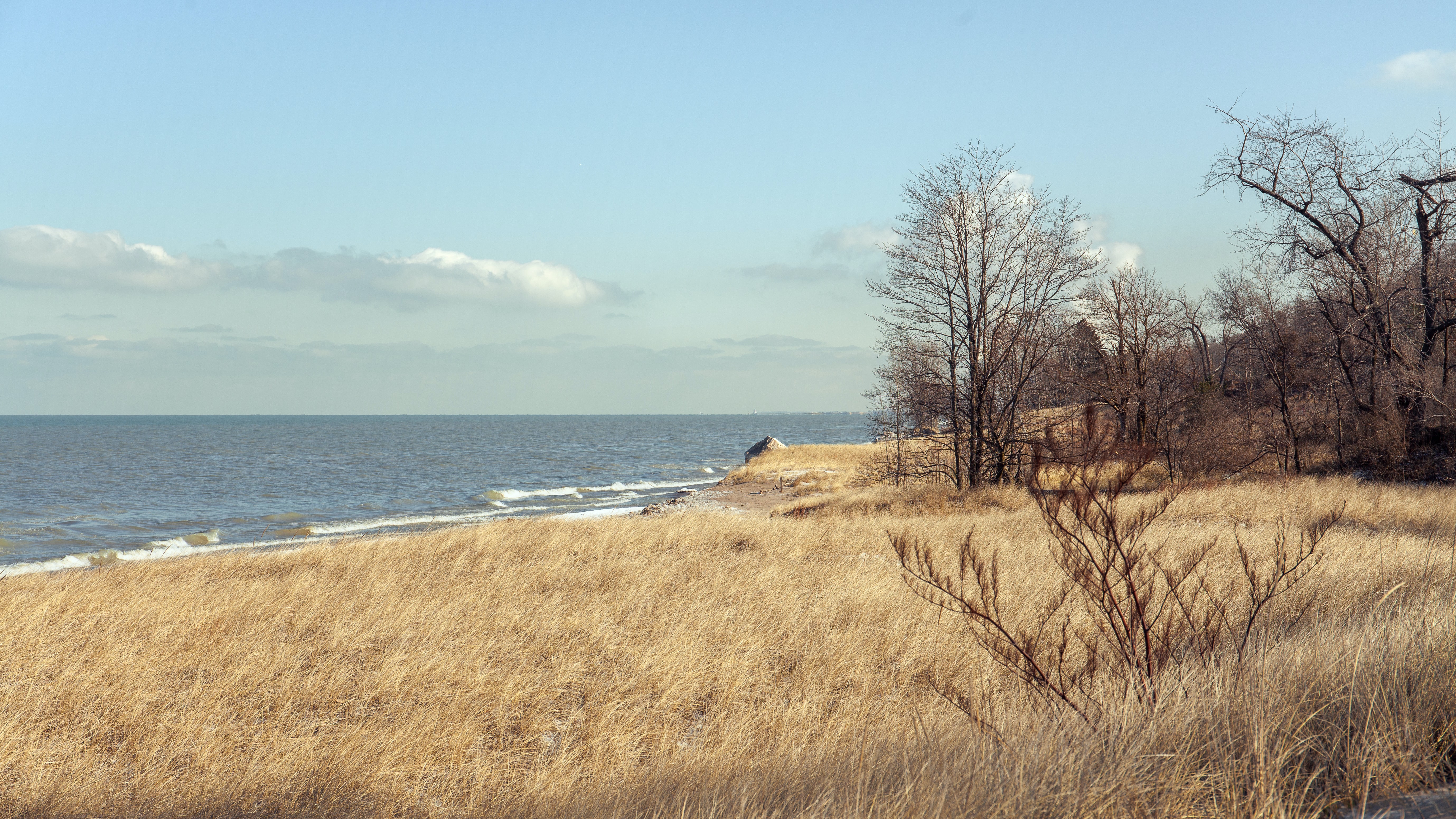 Indiana Dunes.jpg