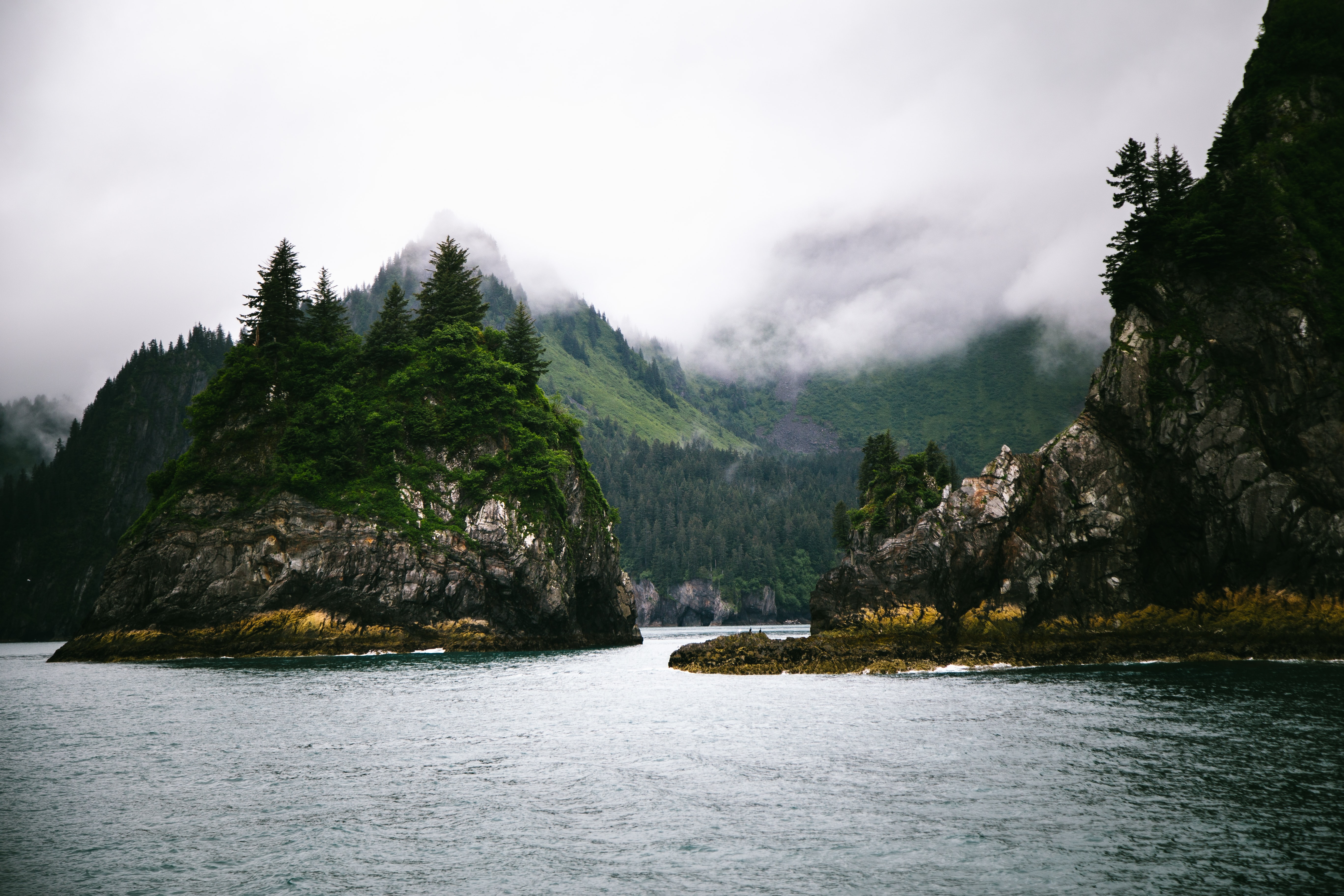 Kenai Fjords.jpg