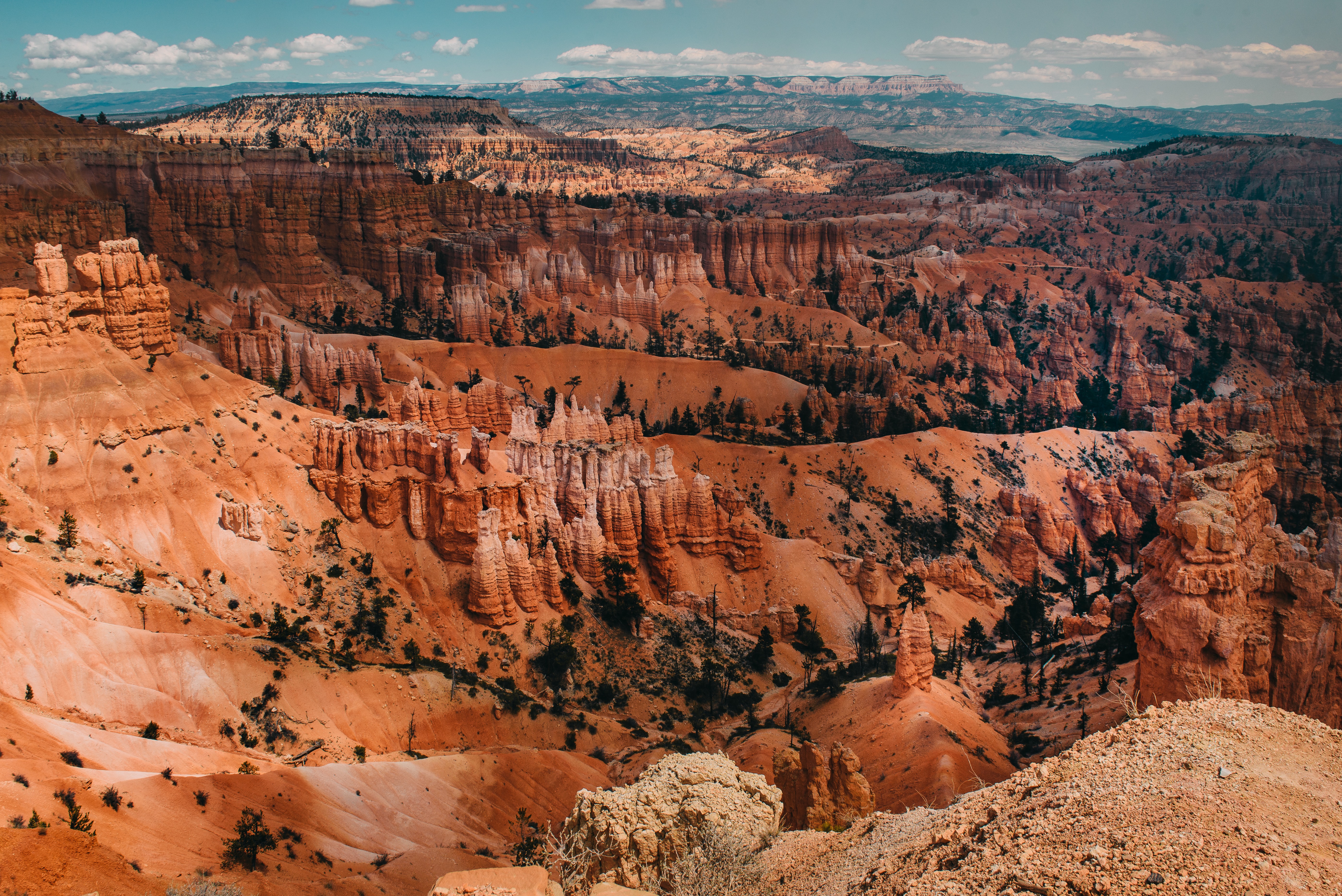 bryce3.jpg
