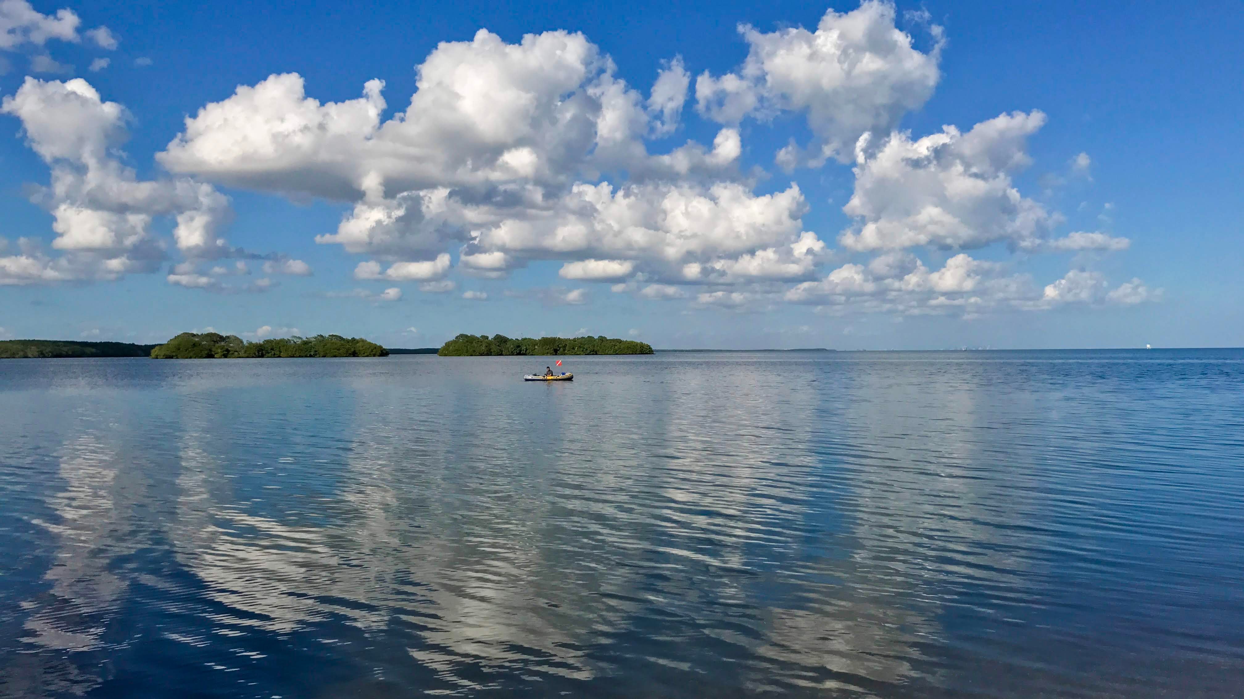 biscayne.jpg