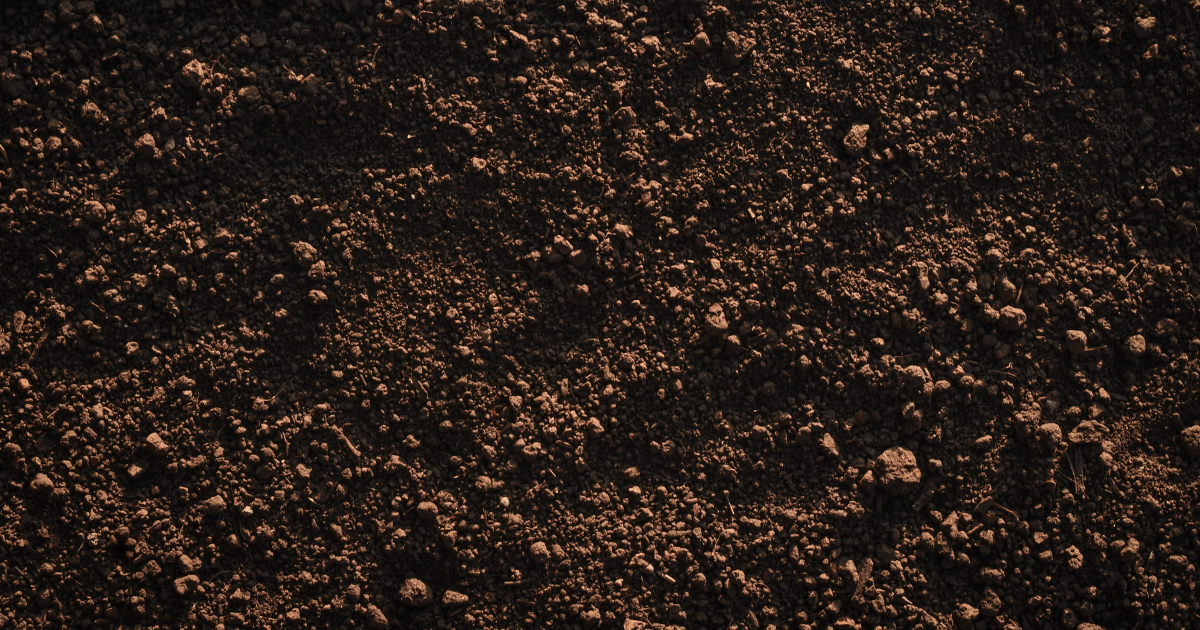 soil.png