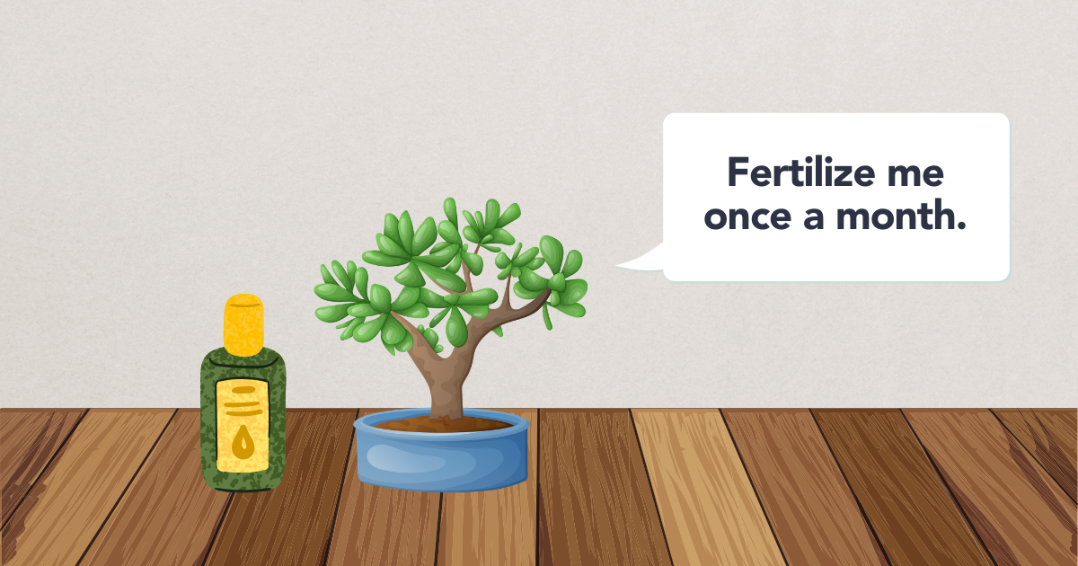 fertilizing-template.png