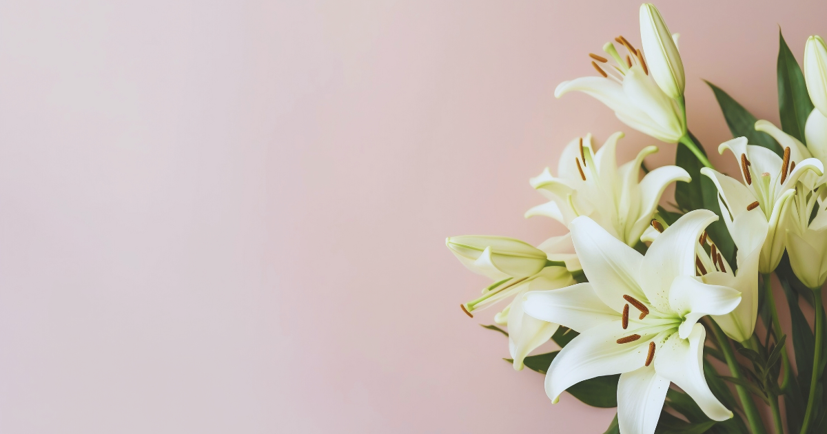 Indoor Lily 3.png