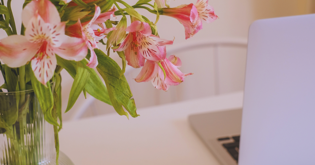 Indoor Lily 2.png