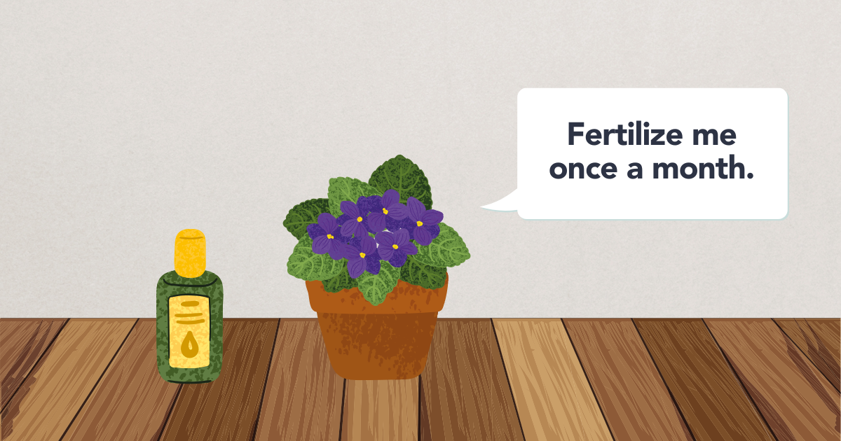 fertilizing-template.png