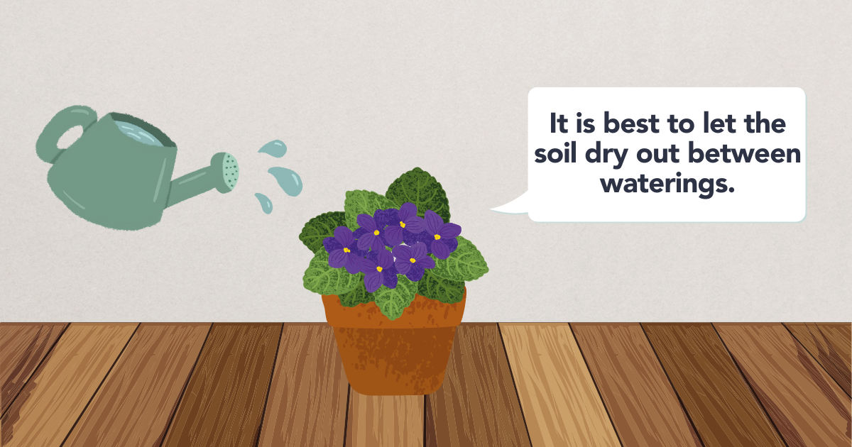 watering-template.png
