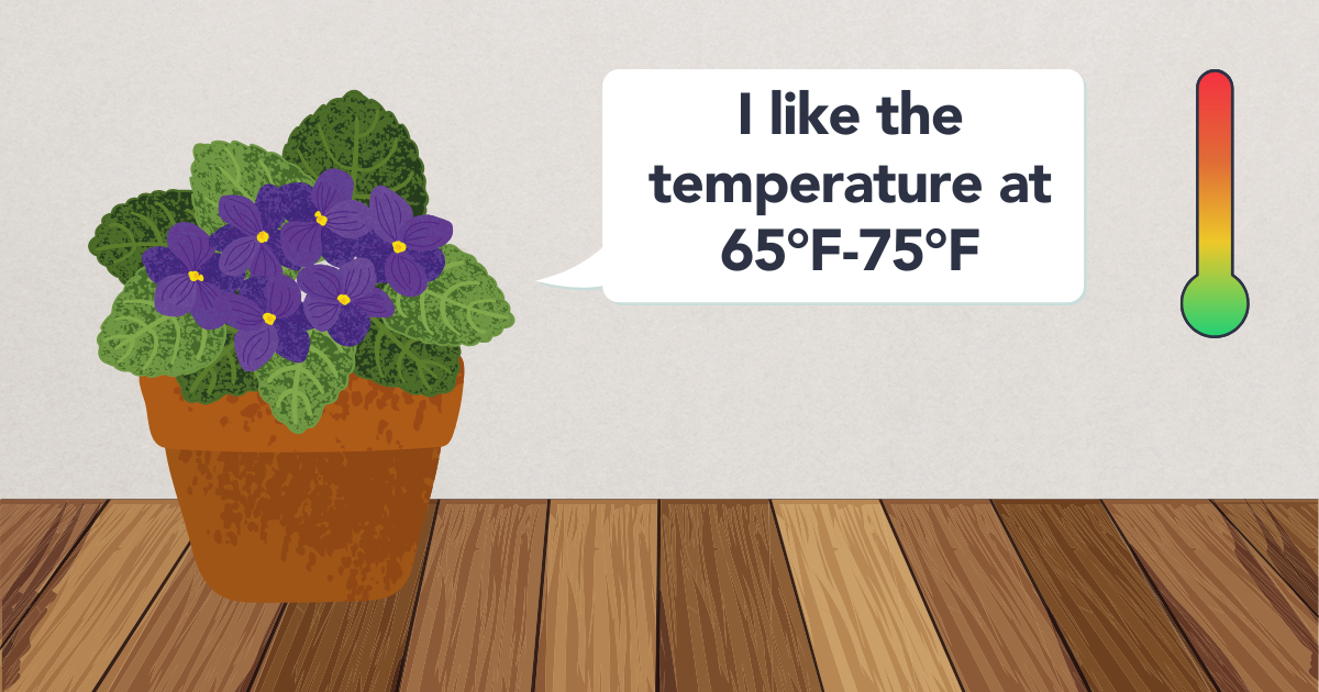 temperature template.png