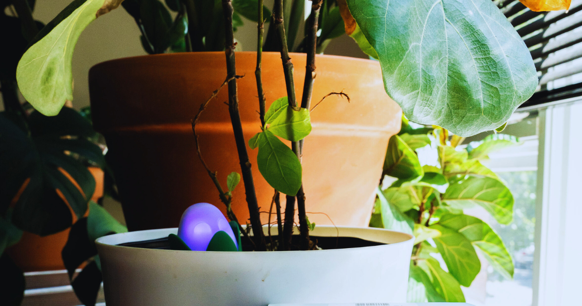 Propagation Consistency.png