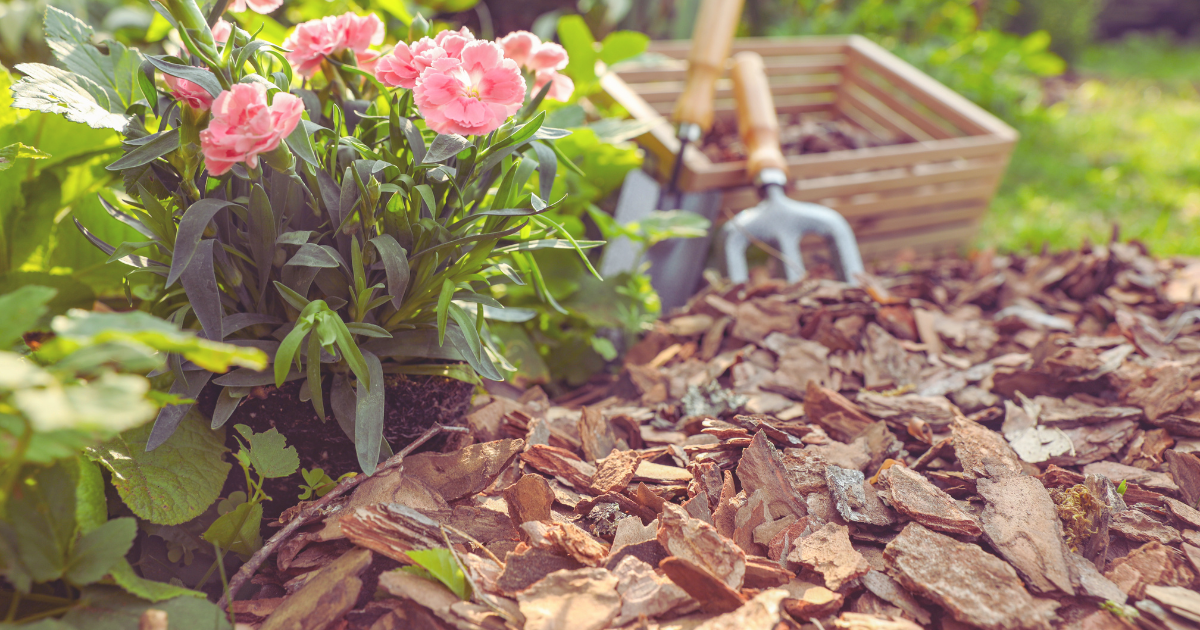 How to Mulch Flower Beds to Prevent Weeds: Ultimate Guide