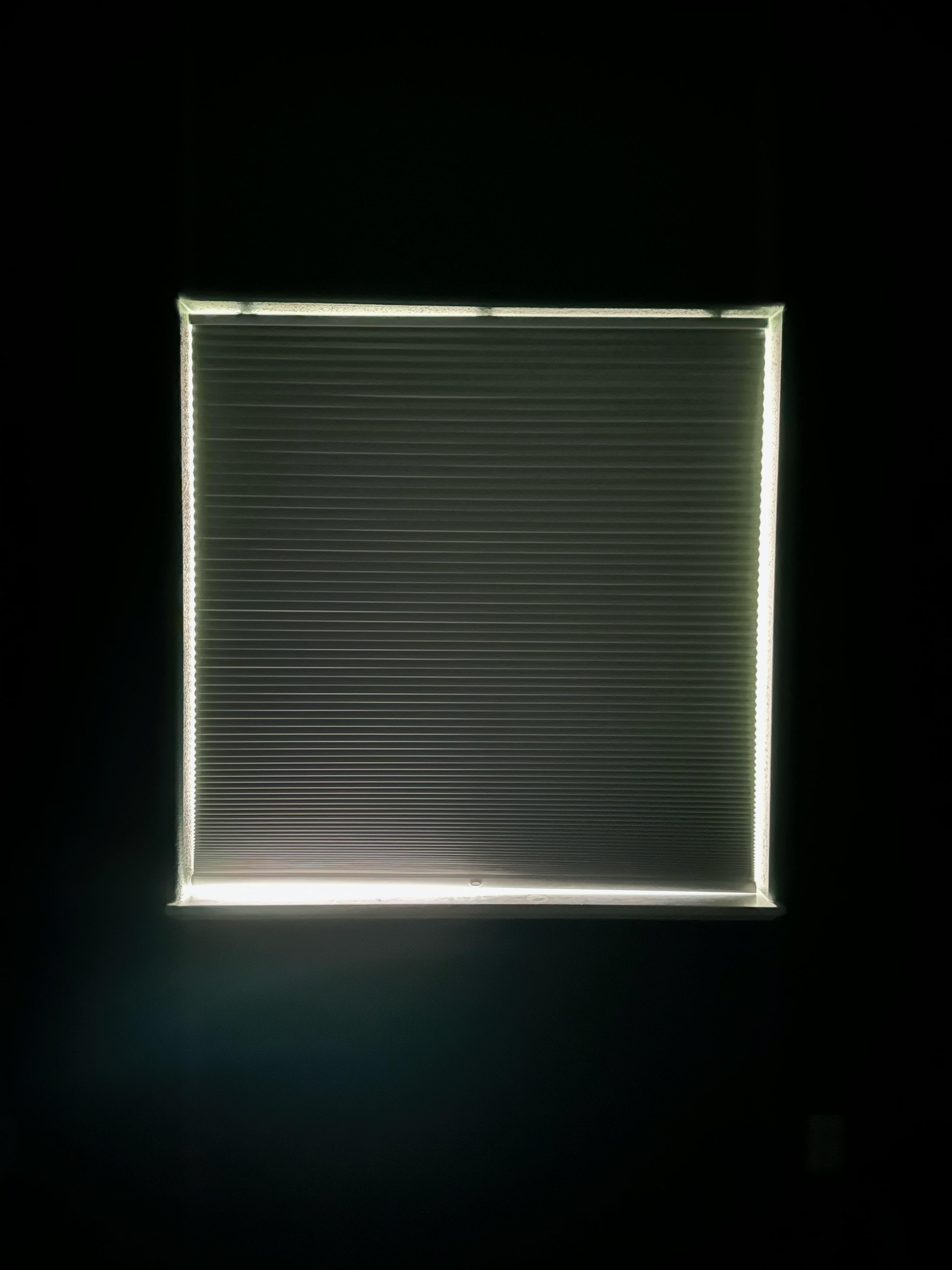 image1.JPG