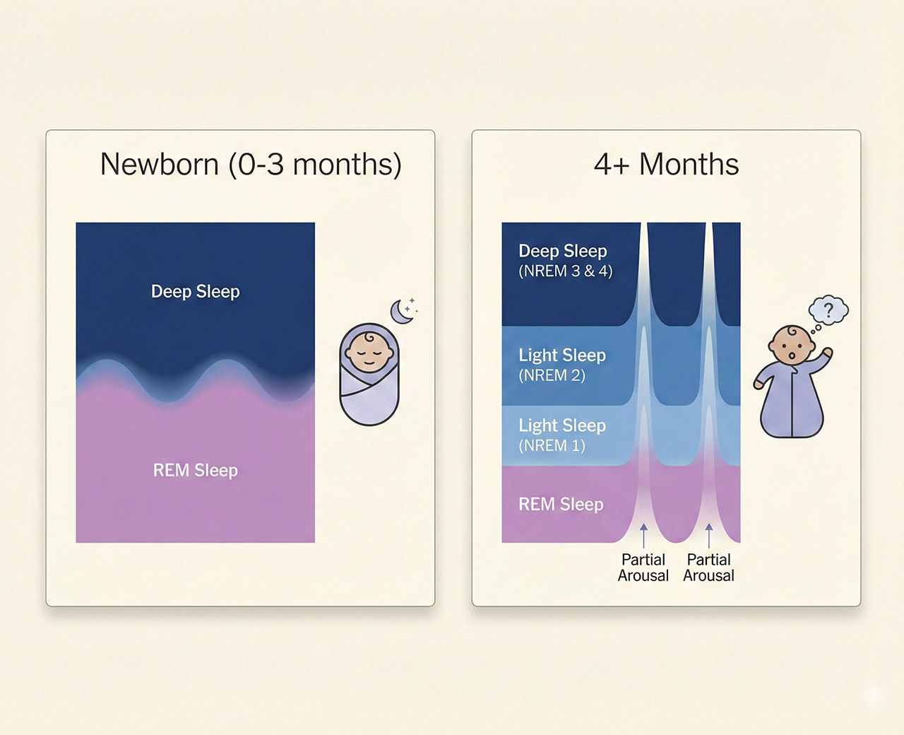 Infographic comparing newborn vs 4+ month baby sleep cycles showing deep sleep, REM and partial arousal stages